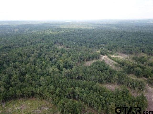 37.52 acres in Rusk County - photo 29