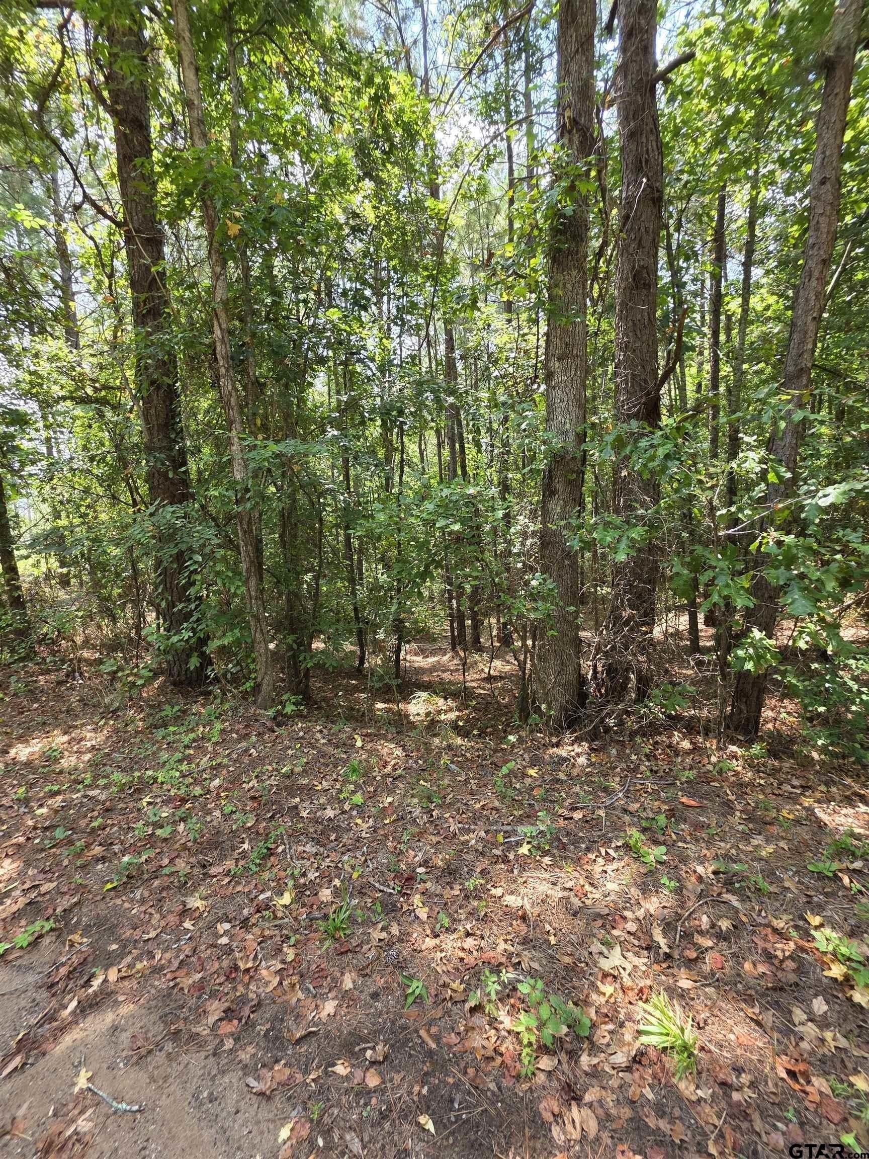 37.52 acres in Rusk County - photo 3
