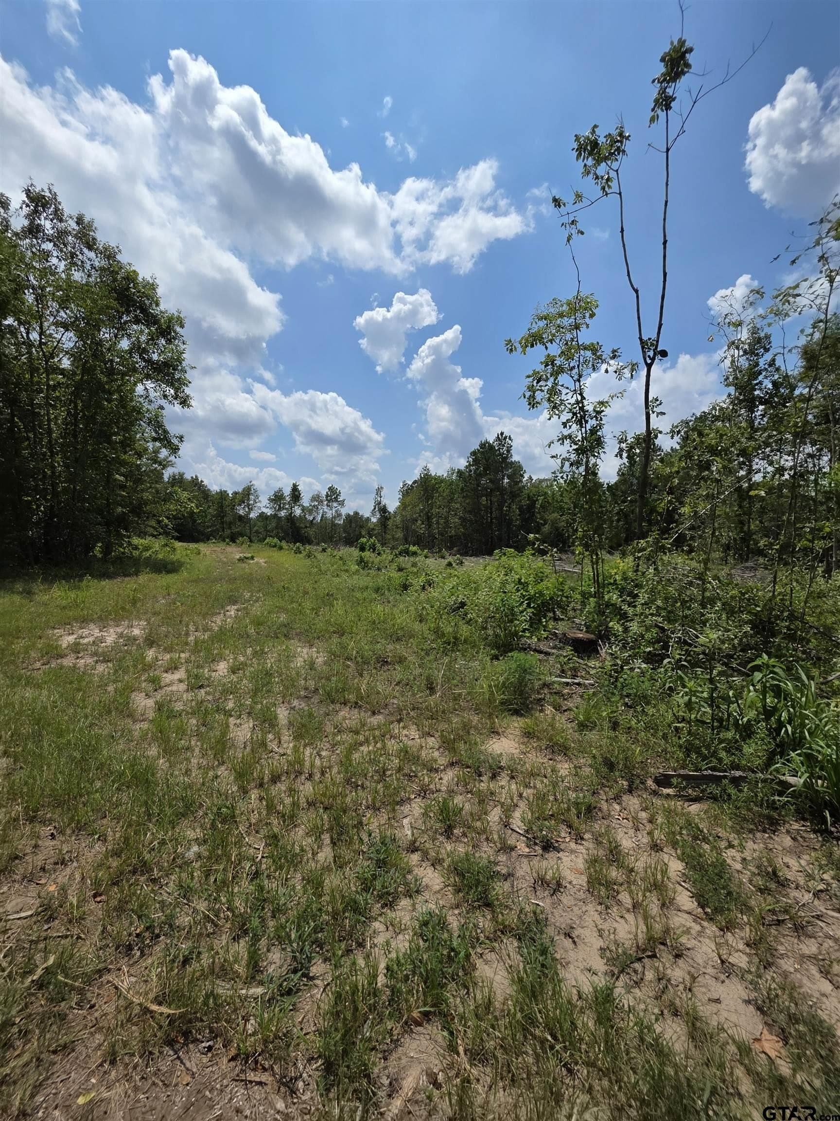 37.52 acres in Rusk County - photo 11