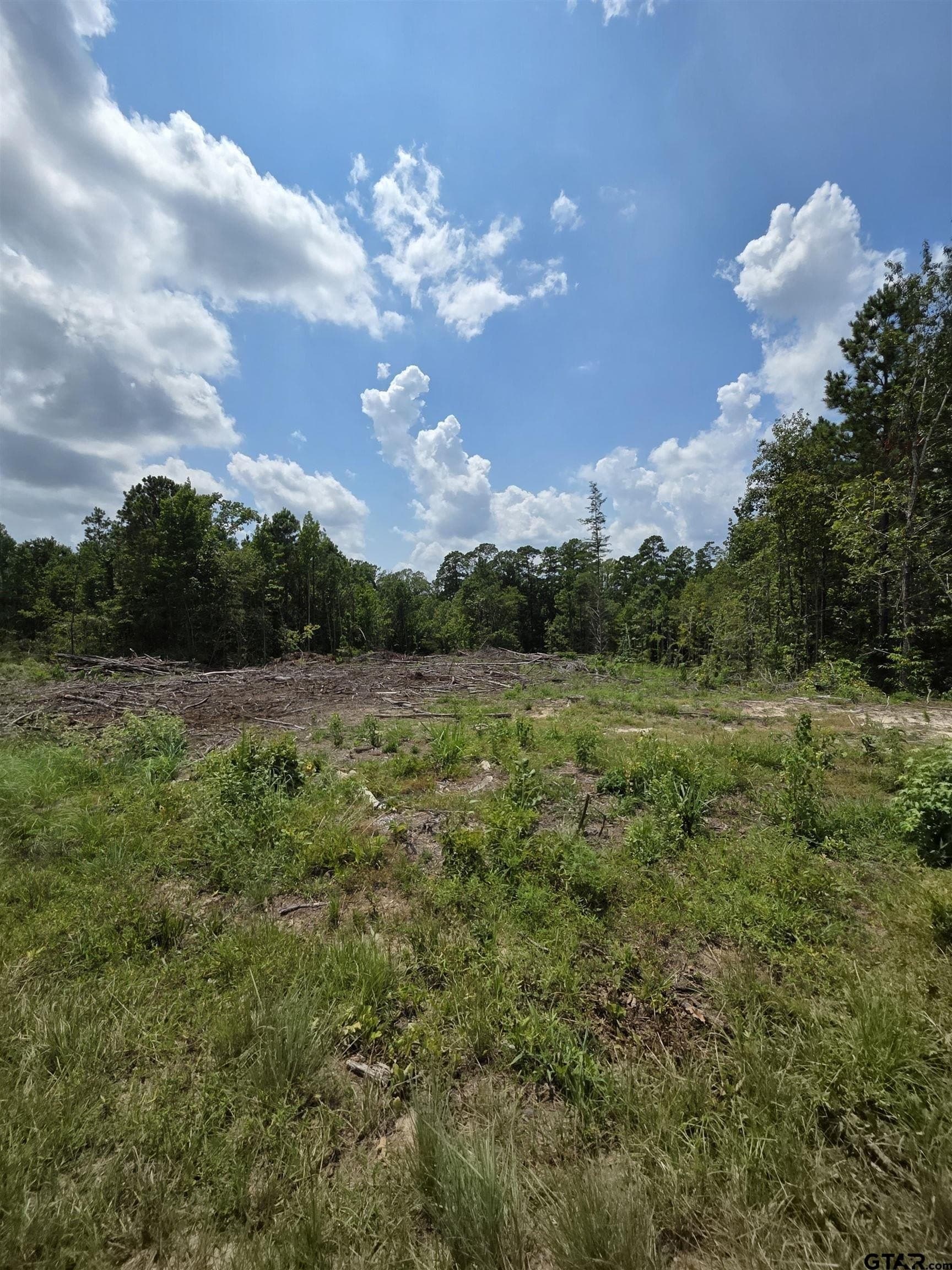 37.52 acres in Rusk County - photo 8