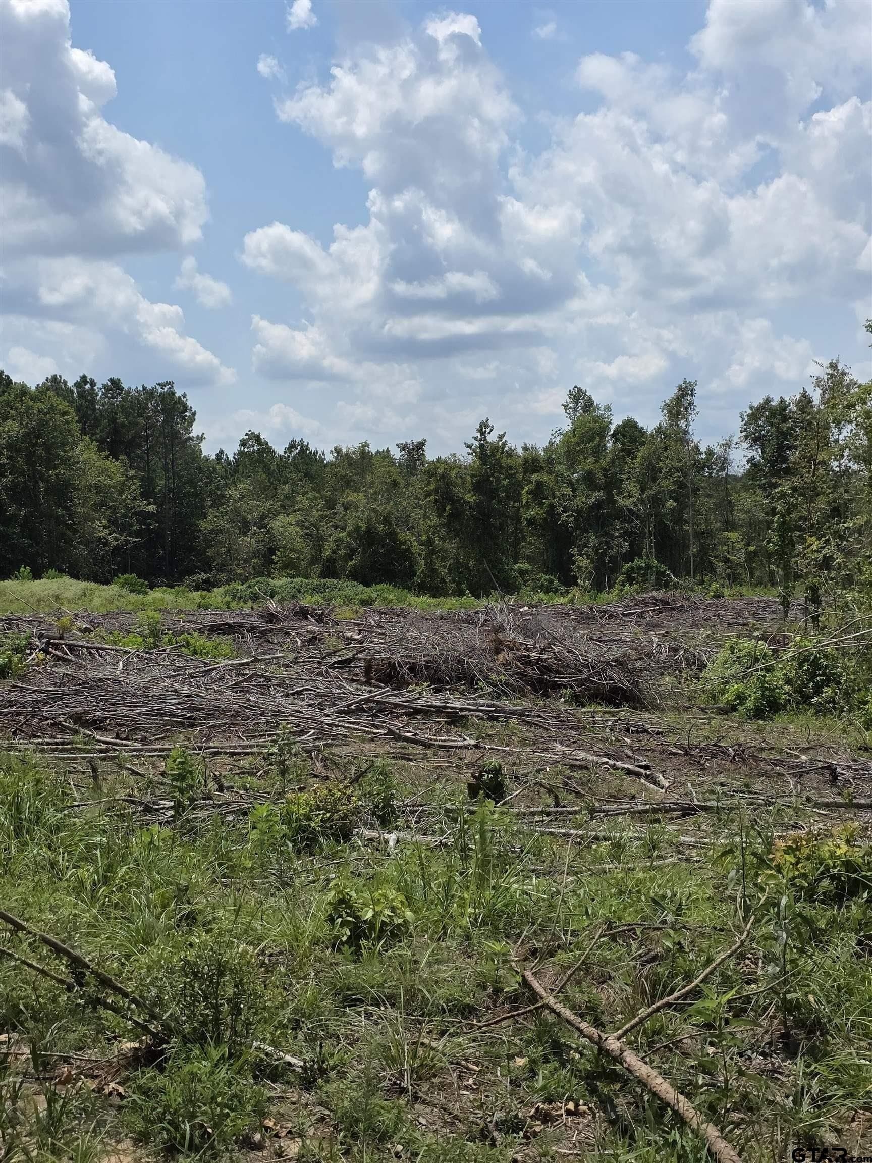 37.52 acres in Rusk County - photo 15