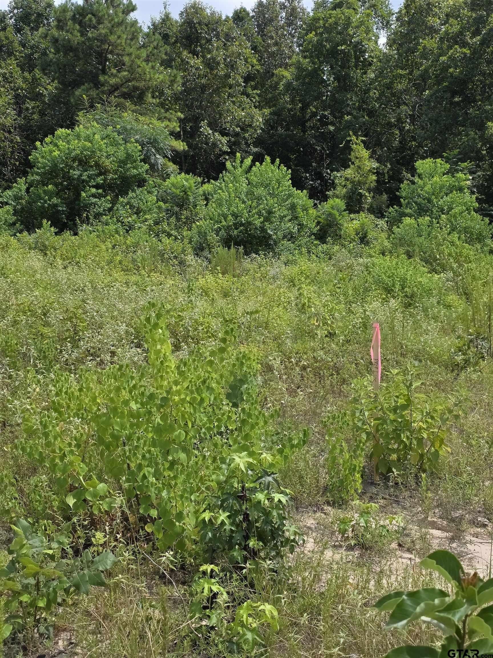 37.52 acres in Rusk County - photo 18