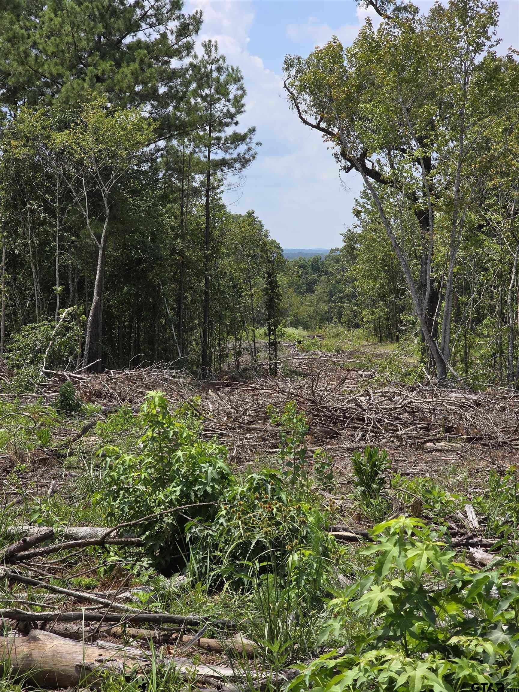 37.52 acres in Rusk County - photo 13