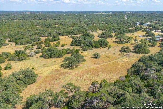 11 acres in Comal County - photo 17