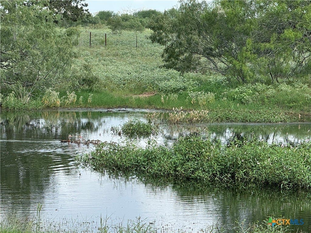 1.8 acres in Gonzales County - photo 5