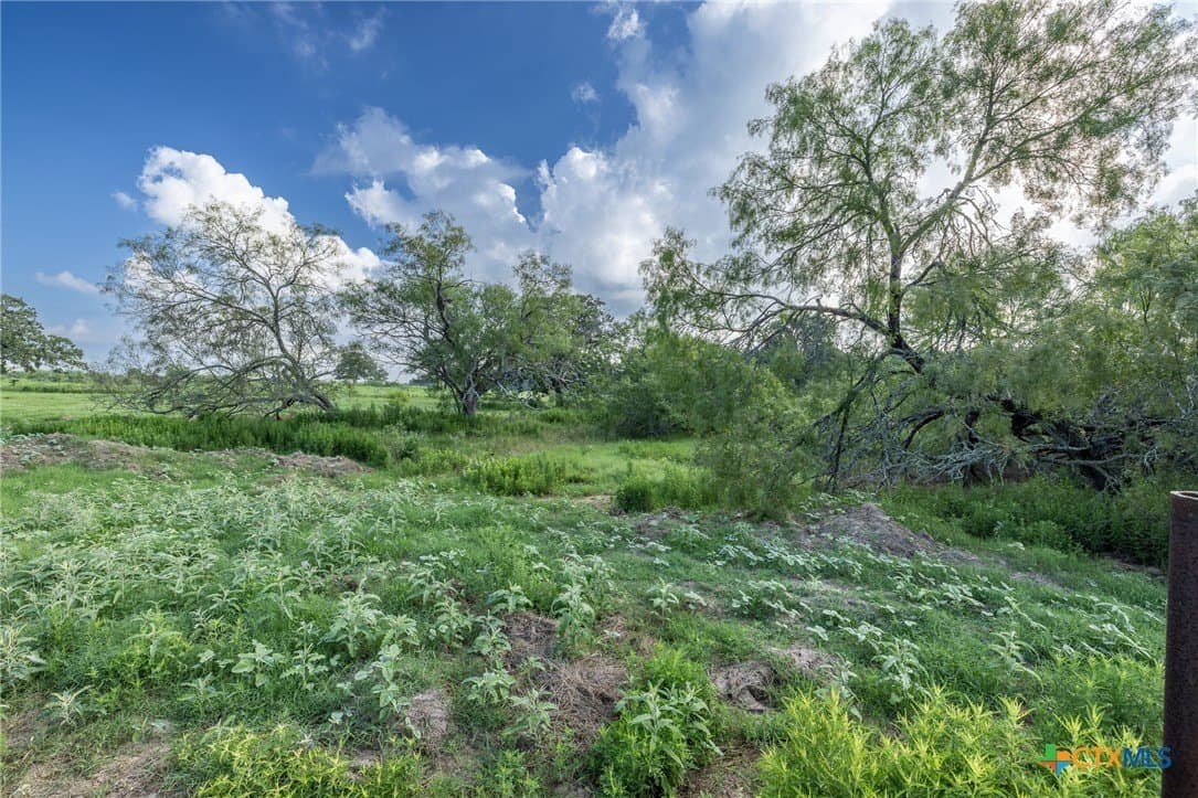1.8 acres in Gonzales County - photo 12