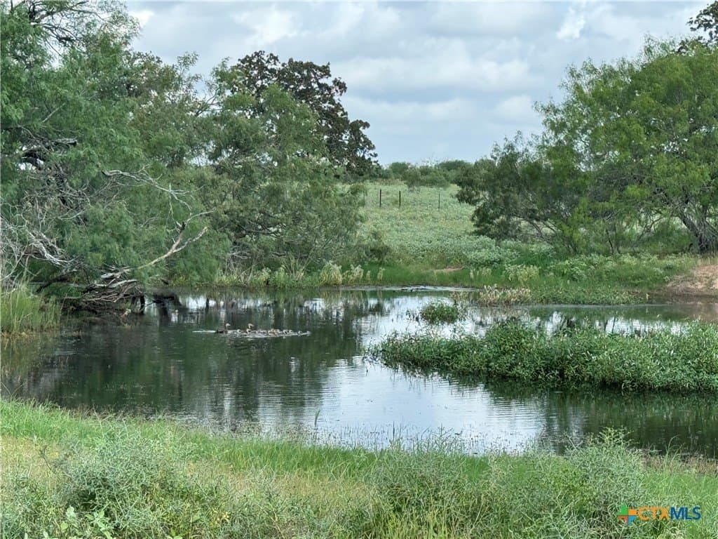 1.8 acres in Gonzales County - photo 9