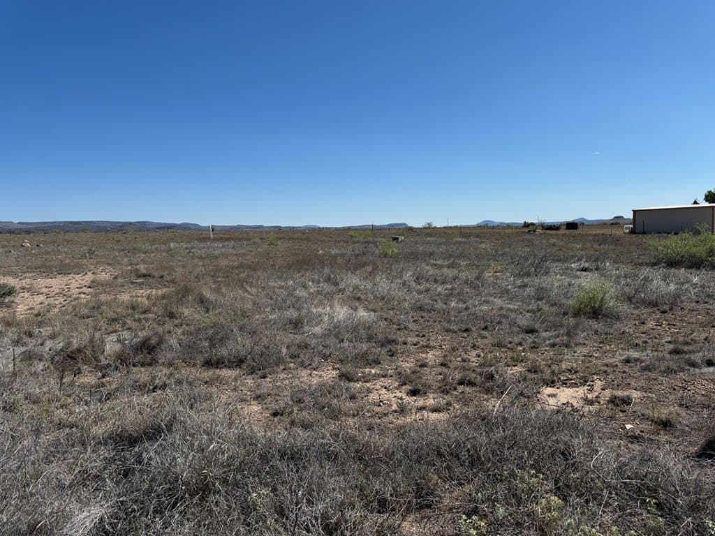 3 acres in Jeff Davis County - photo 5