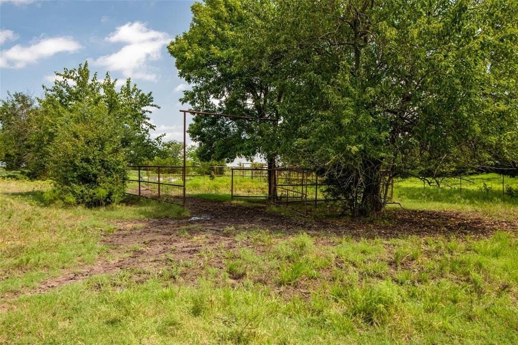 77.44 acres in Fannin County - photo 10