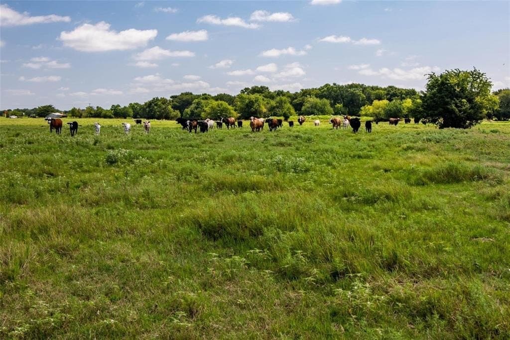 77.44 acres in Fannin County - photo 9