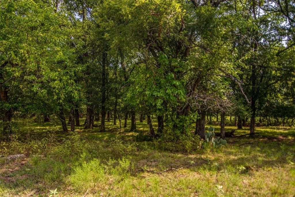 77.44 acres in Fannin County - photo 12