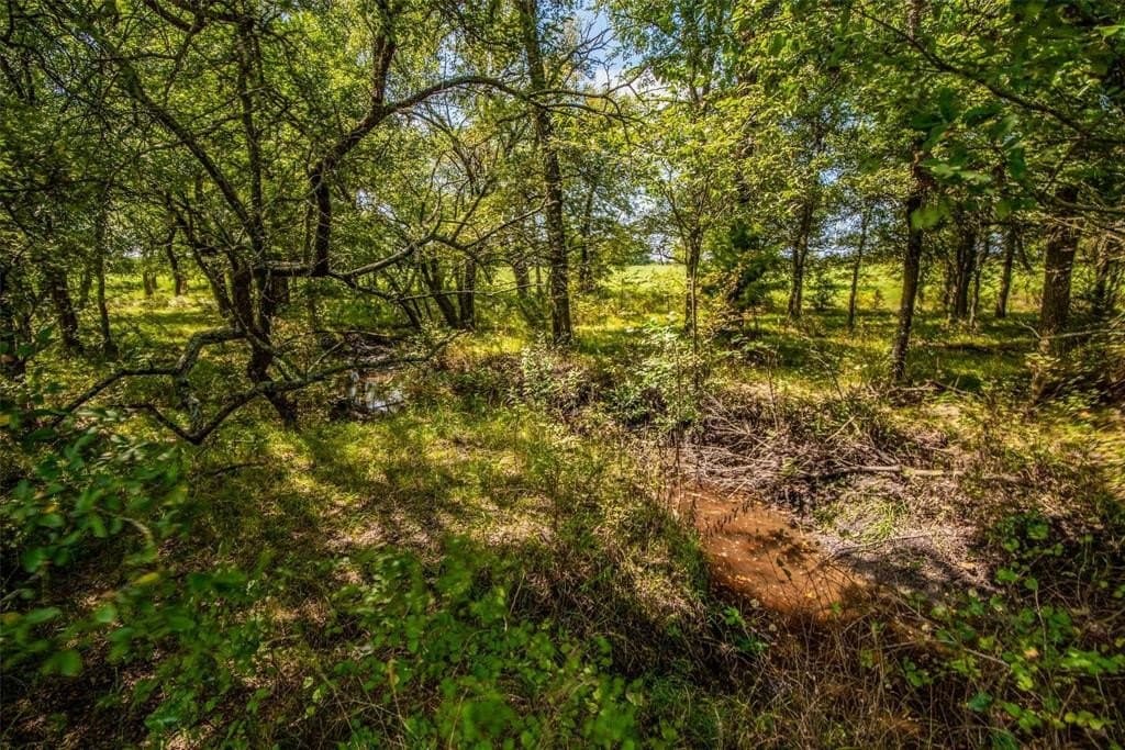 77.44 acres in Fannin County - photo 13