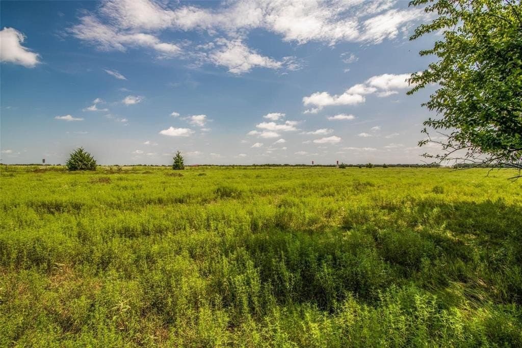 77.44 acres in Fannin County - photo 8
