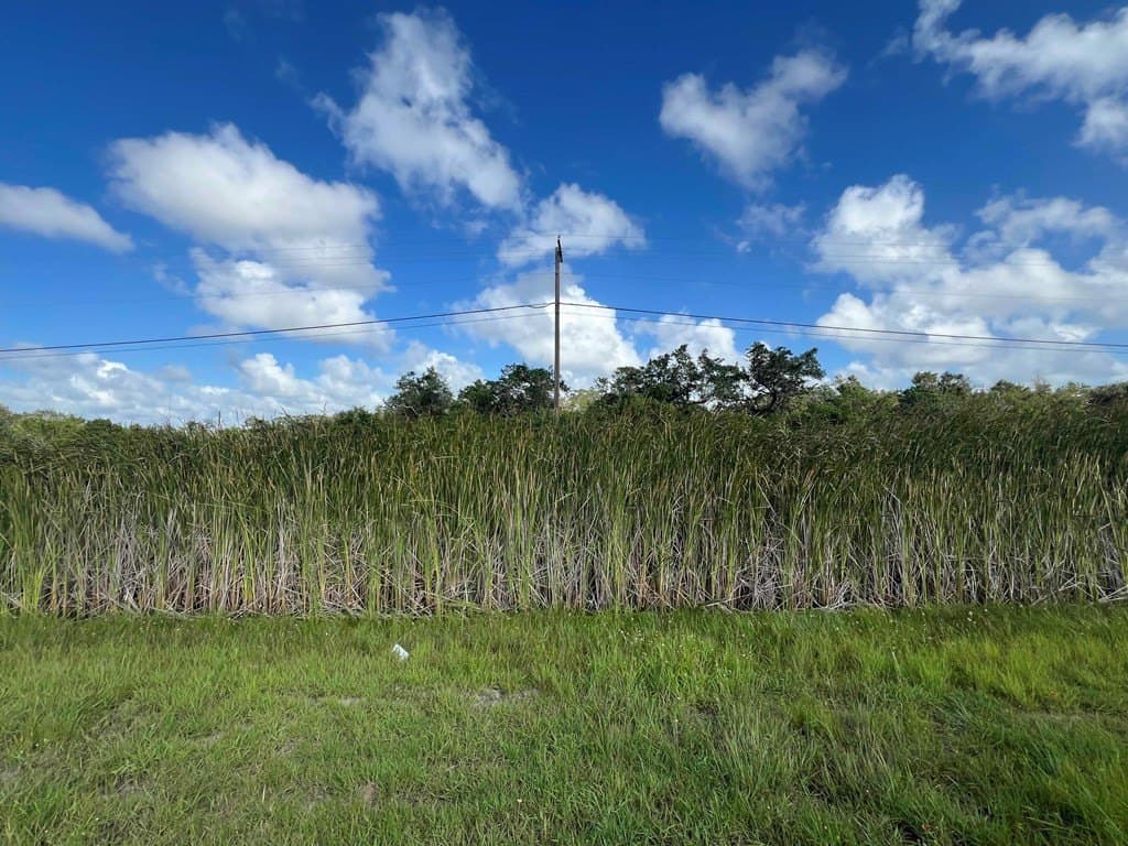 0 acres in Texas County - photo 10