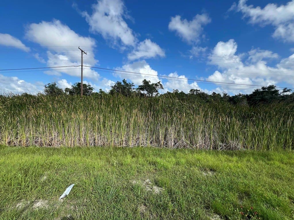 0 acres in Texas County - photo 8