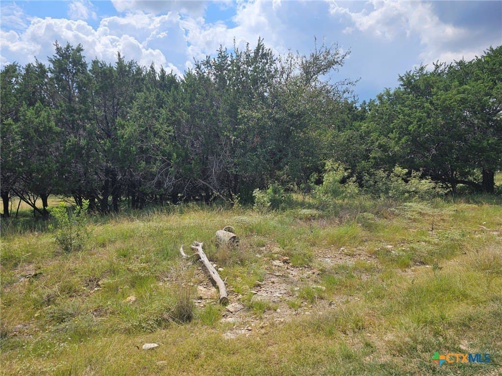 15 acres in Coryell County - photo 7