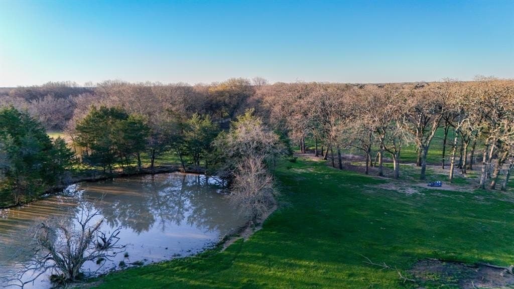 12.5 acres in Fannin County - photo 14