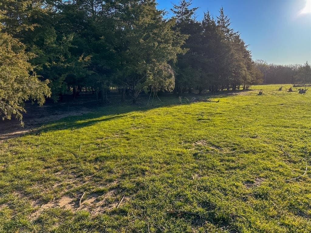 12.5 acres in Fannin County - photo 25