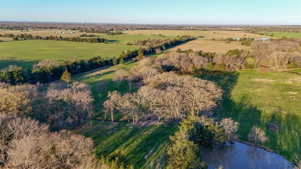 12.5 acres in Fannin County - photo 4