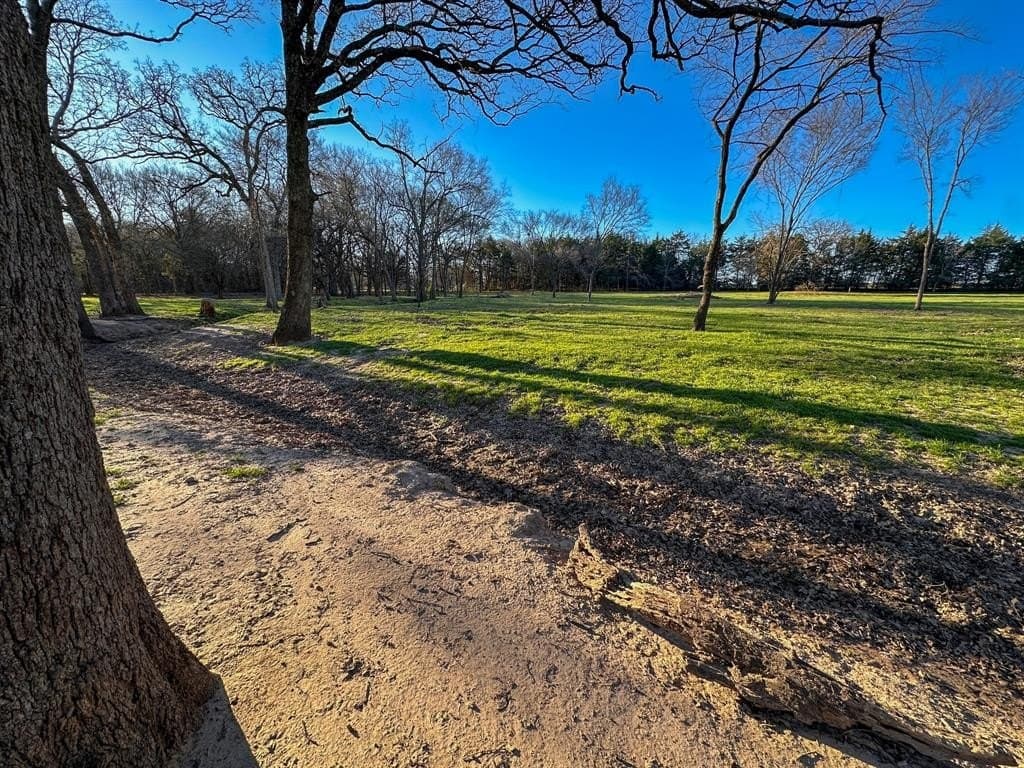 12.5 acres in Fannin County - photo 19