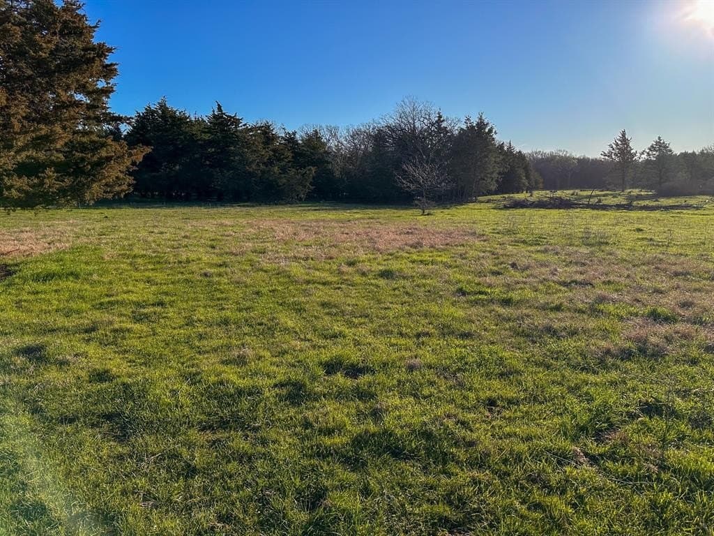 12.5 acres in Fannin County - photo 22