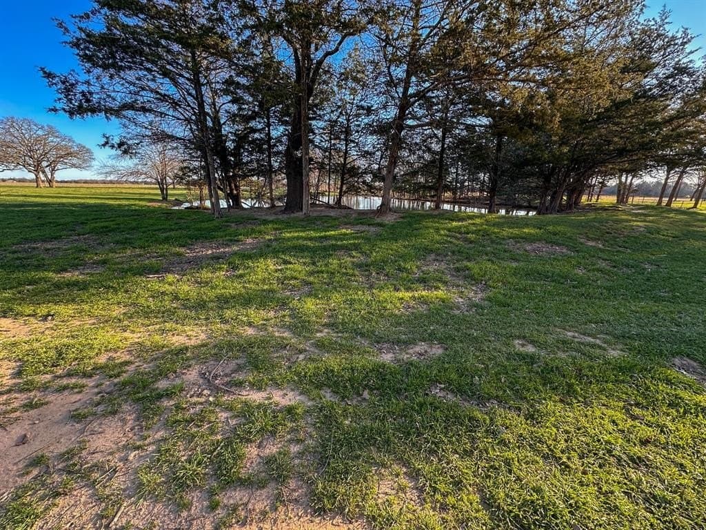 12.5 acres in Fannin County - photo 17