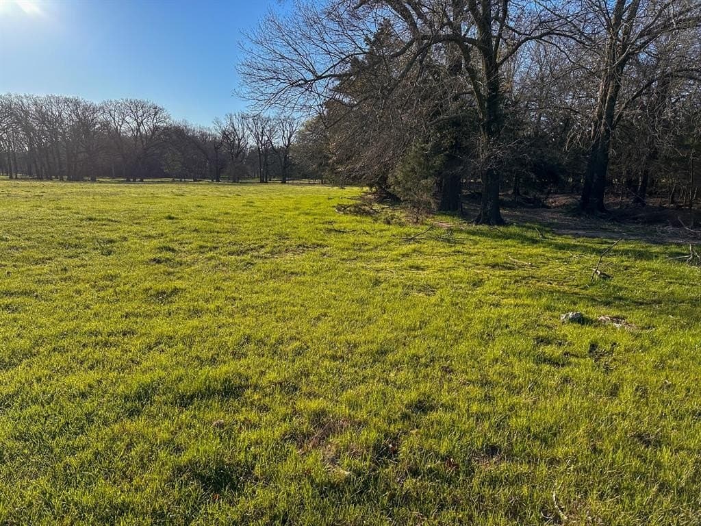 12.5 acres in Fannin County - photo 28