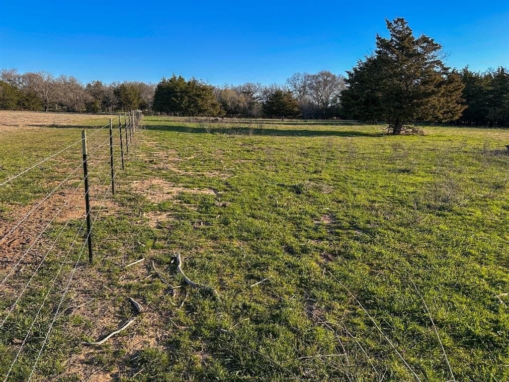 12.5 acres in Fannin County - photo 23
