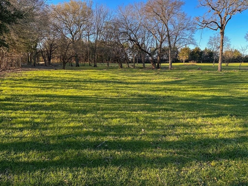 12.5 acres in Fannin County - photo 11