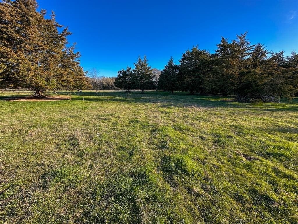12.5 acres in Fannin County - photo 24