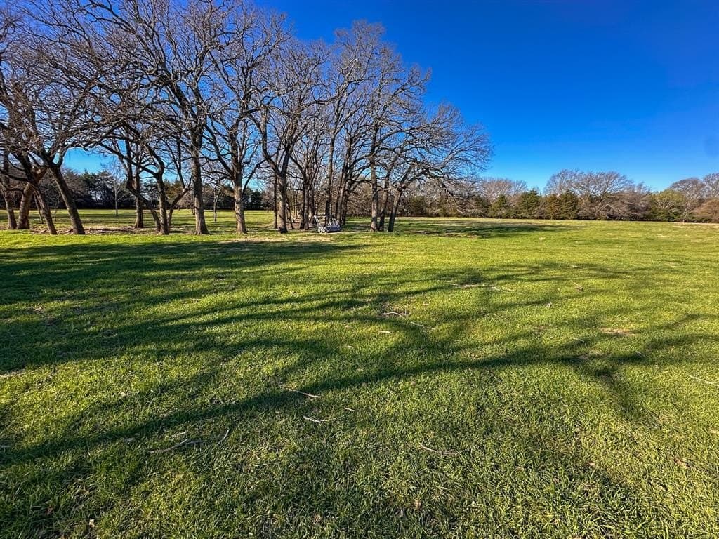 12.5 acres in Fannin County - photo 29