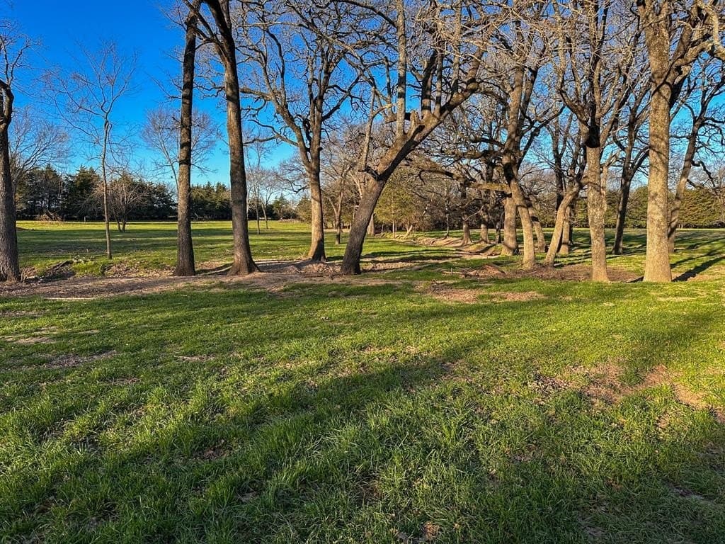 12.5 acres in Fannin County - photo 15
