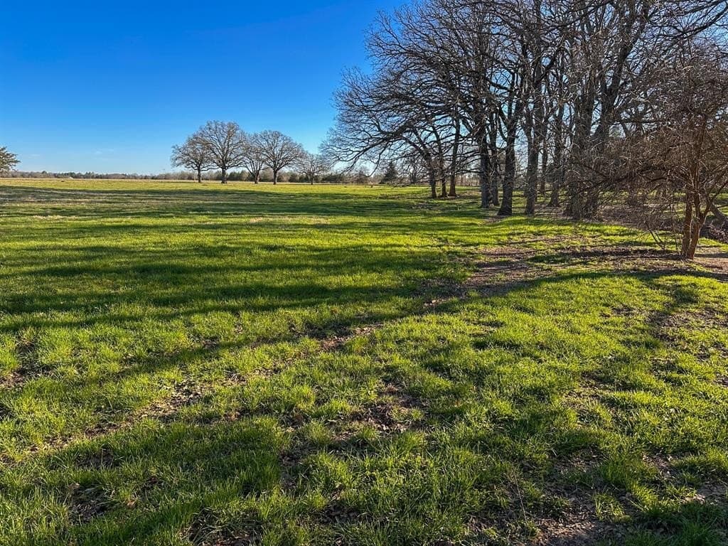 12.5 acres in Fannin County - photo 27