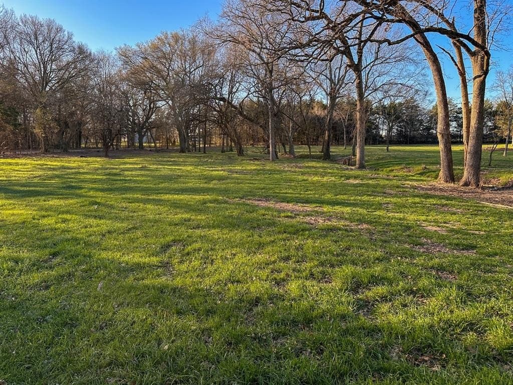 12.5 acres in Fannin County - photo 16