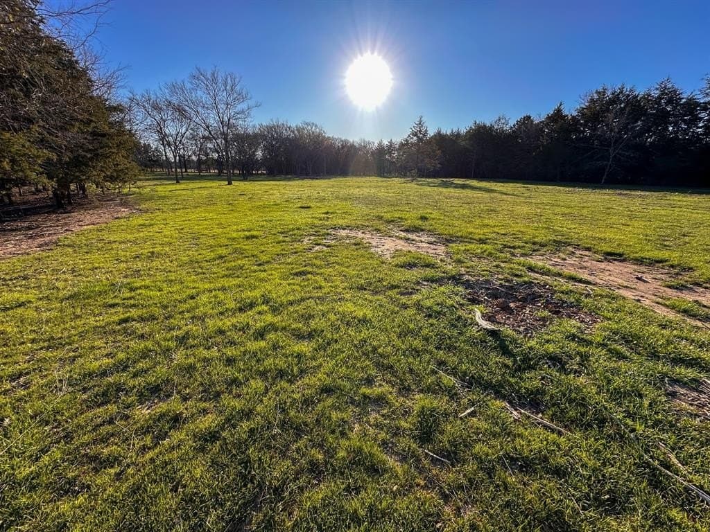 12.5 acres in Fannin County - photo 21