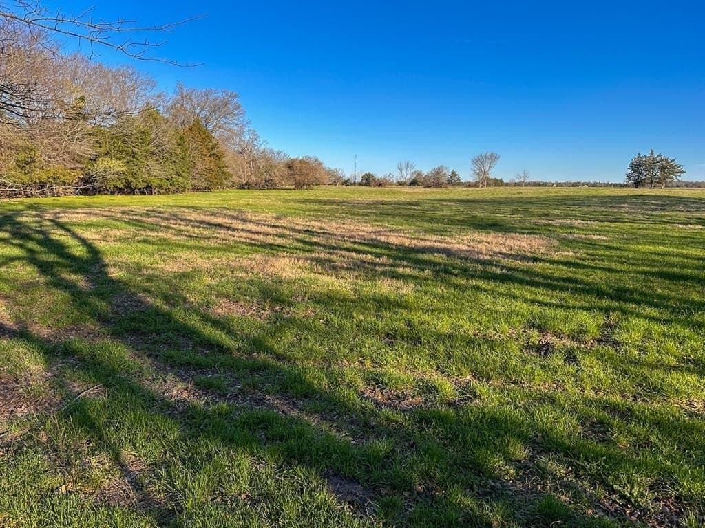 12.5 acres in Fannin County - photo 26