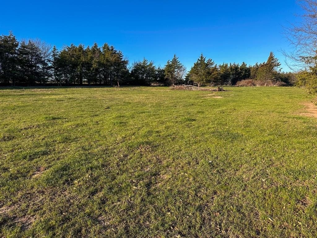 12.5 acres in Fannin County - photo 20