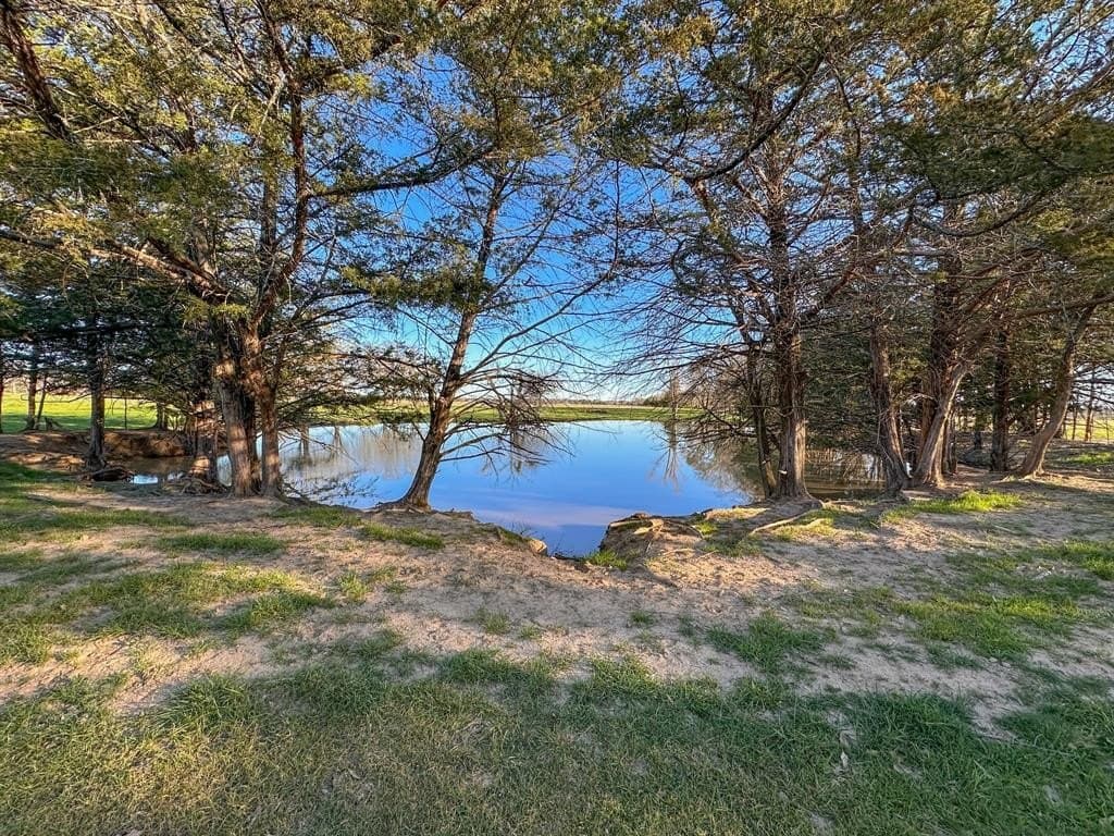 12.5 acres in Fannin County - photo 13