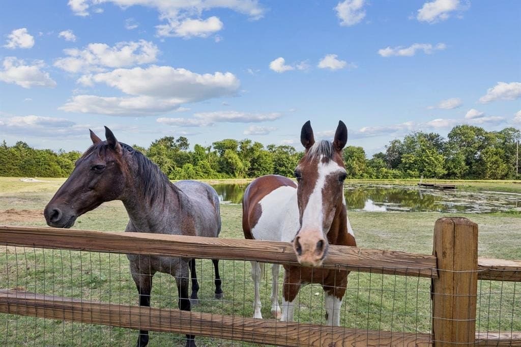 10 acres in Collin County - photo 38