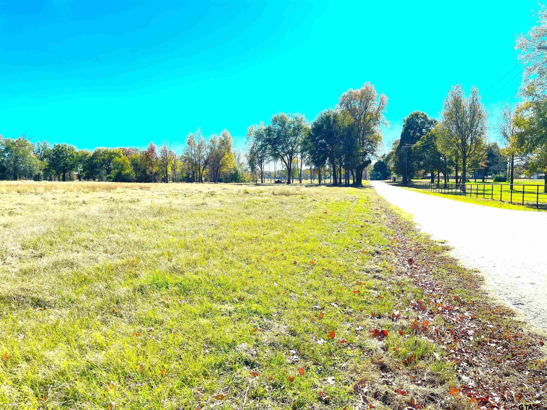 34 acres in Wood County - photo 4