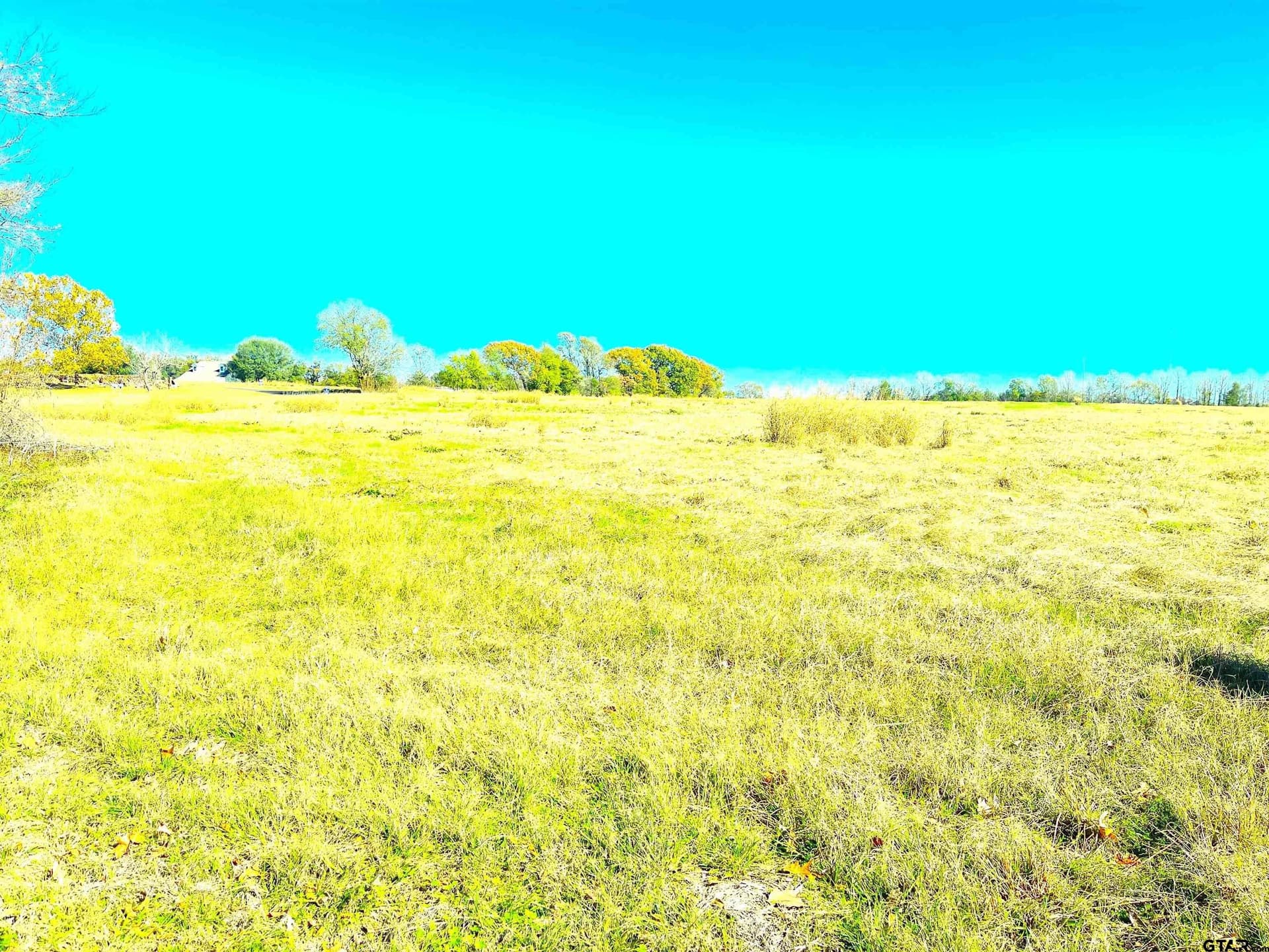 34 acres in Wood County - photo 3