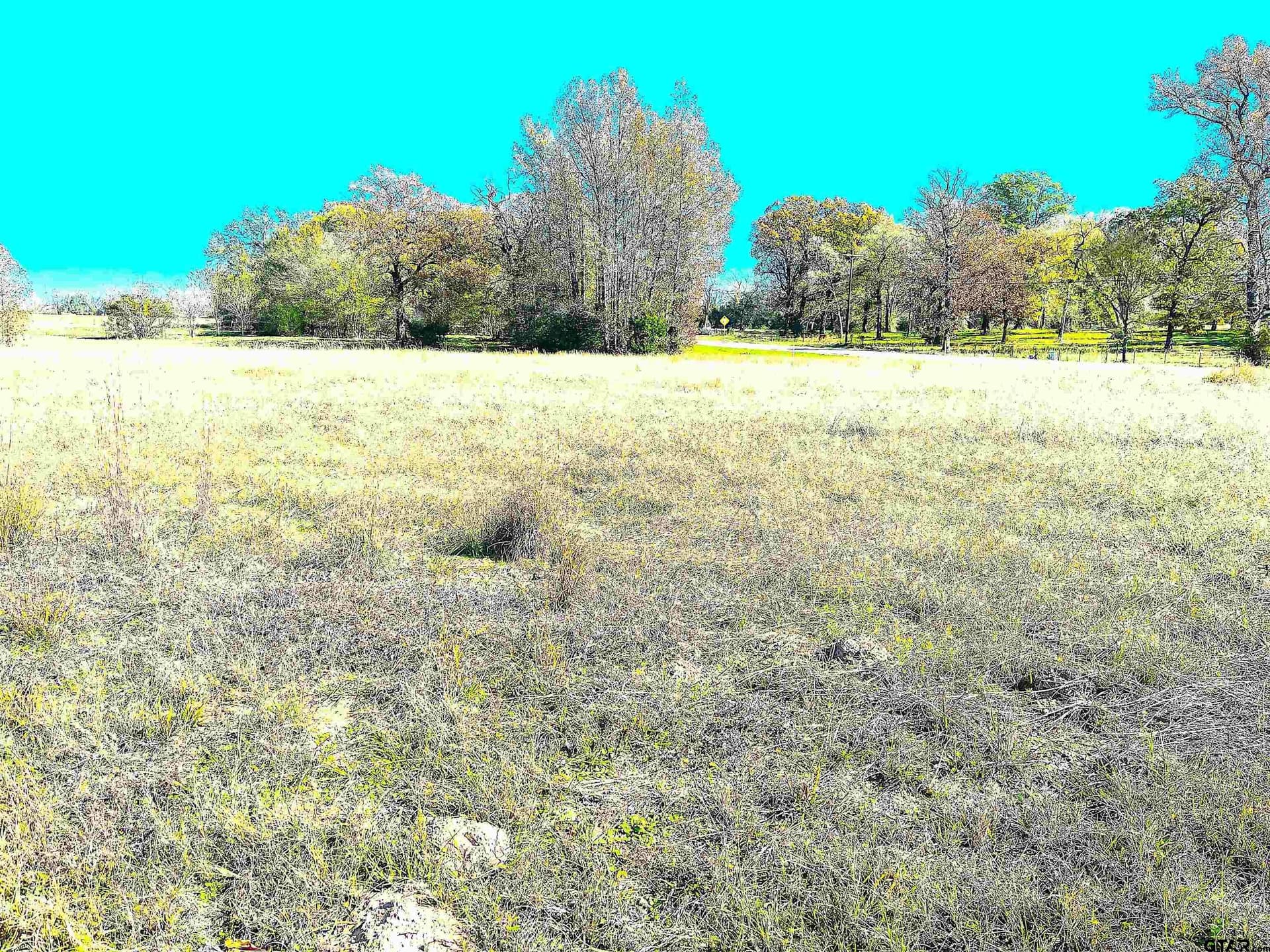 34 acres in Wood County - photo 5