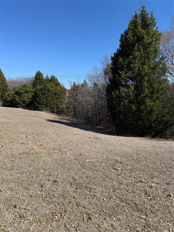 1.07 acres in Dallas County - photo 4