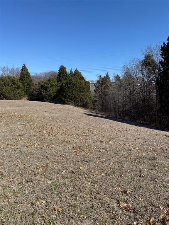 1.07 acres in Dallas County - photo 2