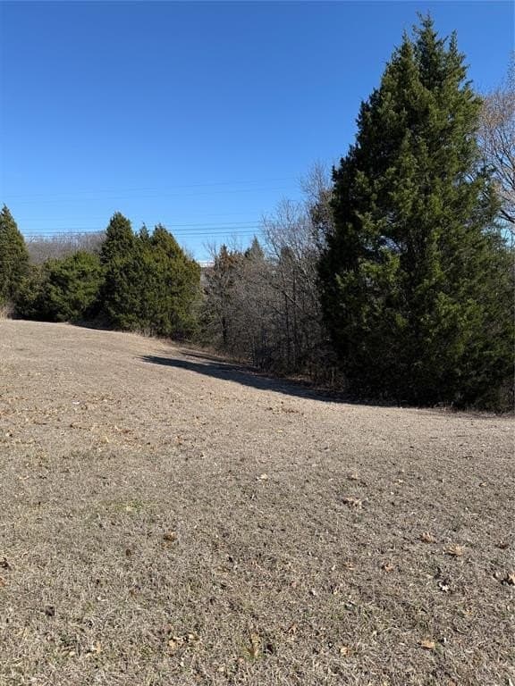 1.07 acres in Dallas County - photo 5