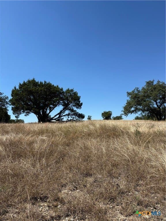 40 acres in Bell County - photo 47