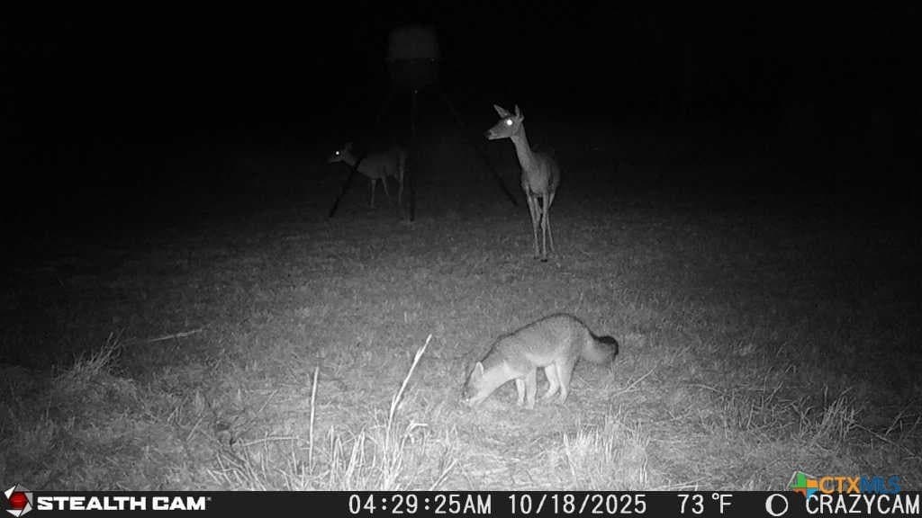 40 acres in Bell County - photo 43