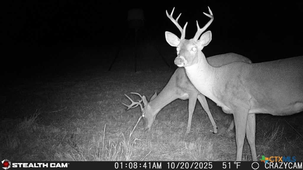 40 acres in Bell County - photo 45