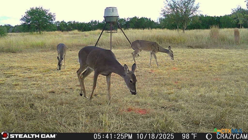 40 acres in Bell County - photo 42