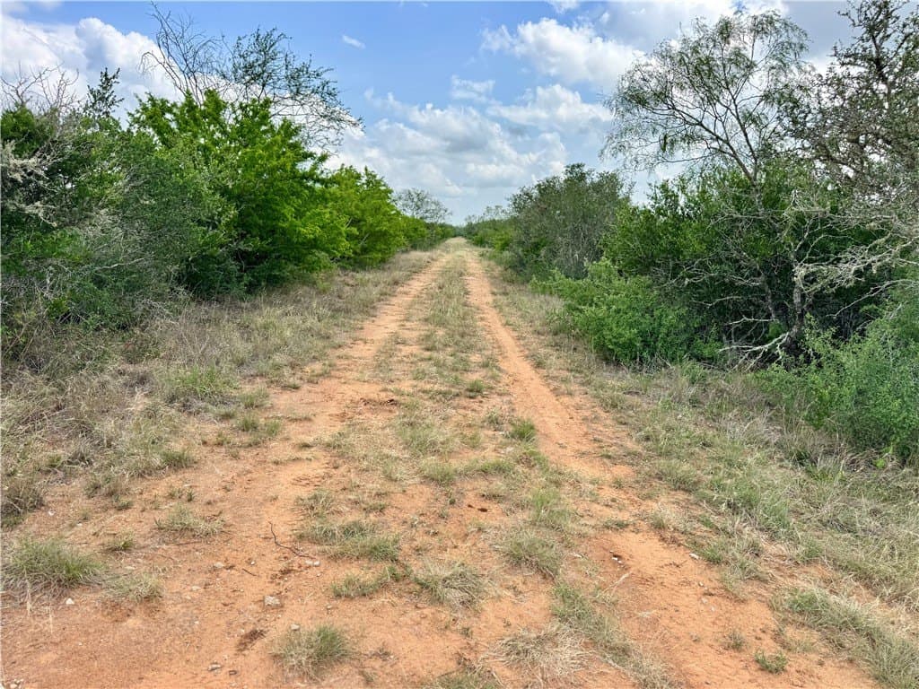 25 acres in Duval County - photo 17